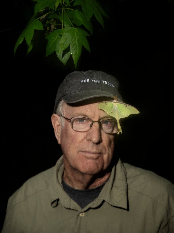 The Nature of Oaks