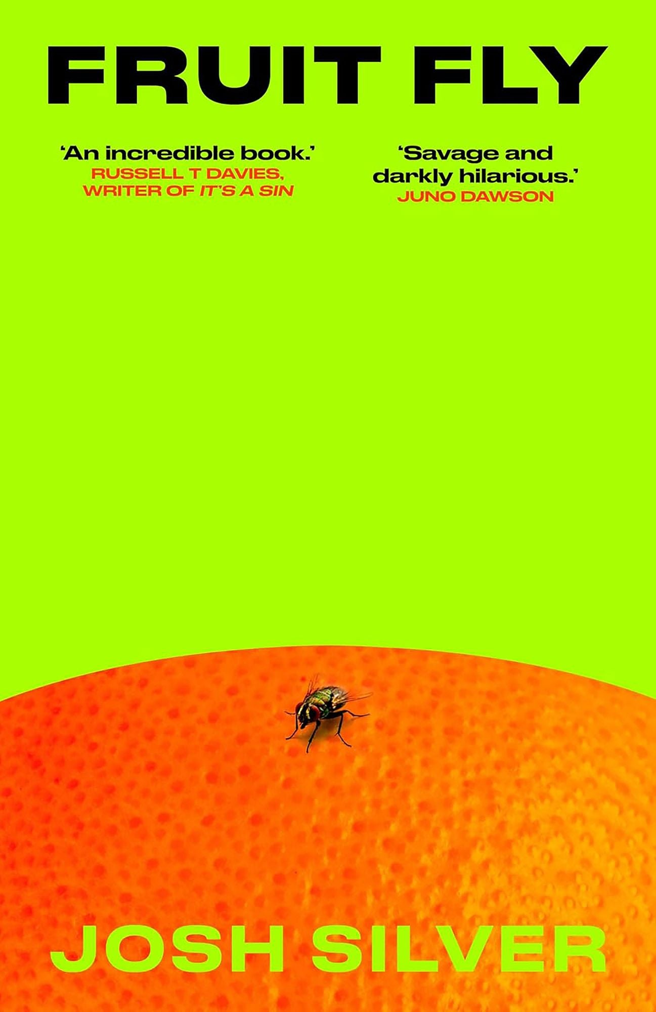 Pretty Guy for a Fruit Fly